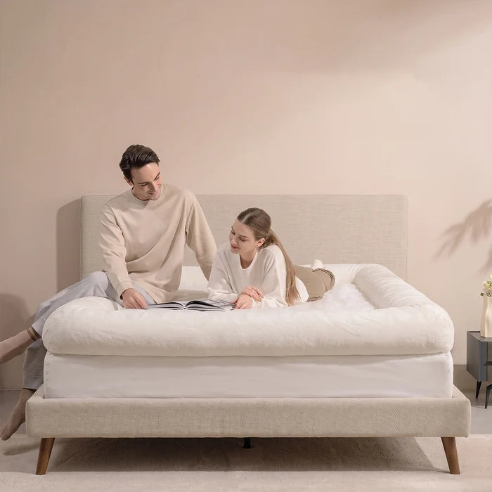 Fortyn™ CloudNest Bordered Bed Sheet